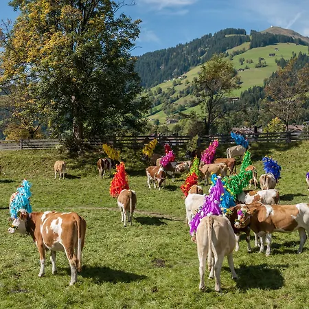 Lägenhet Haus Dirol *