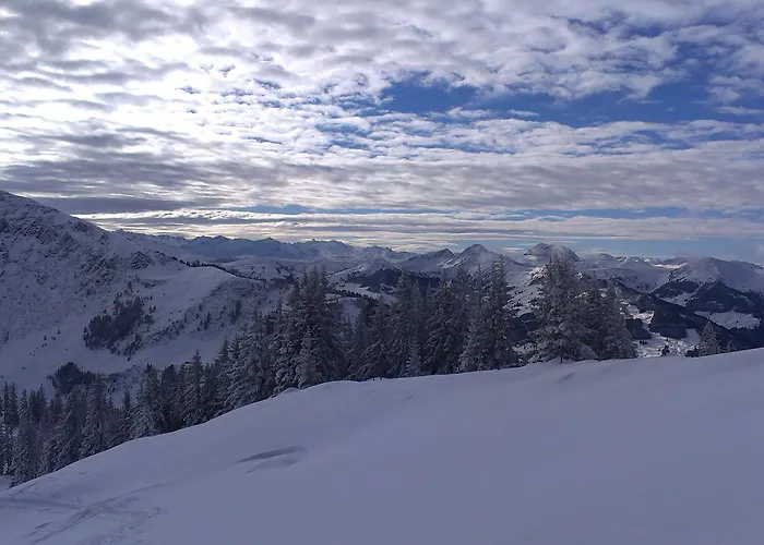 Appartement Haus Dirol *