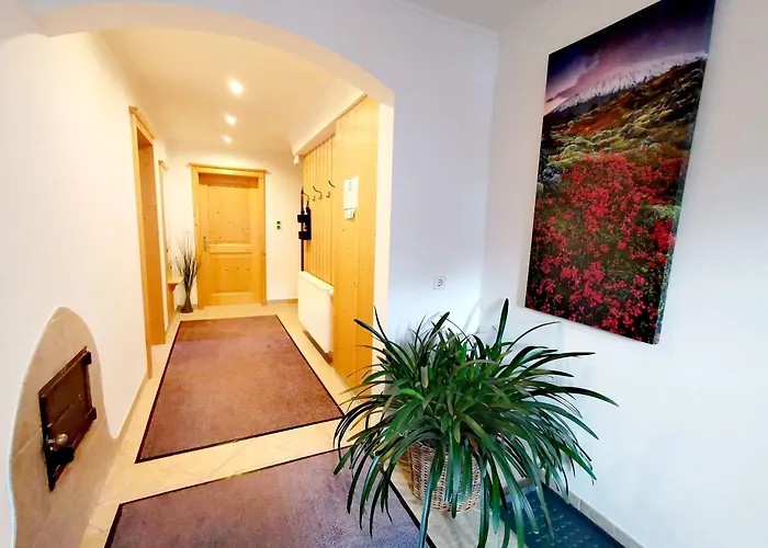 Haus Dirol Apartment *